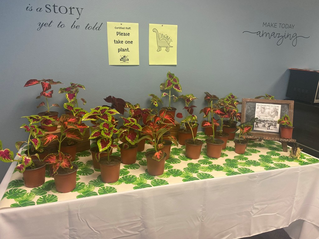 Teacher appreciation plant table