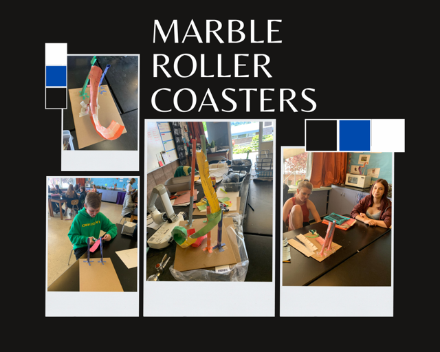 Marble Roller Coasters
