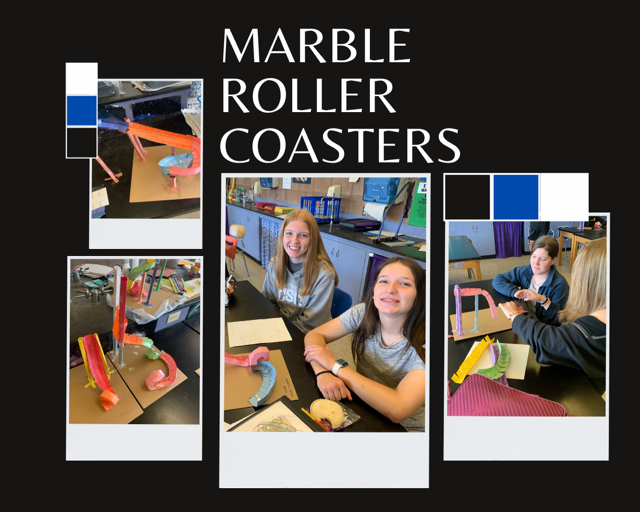 Marble Roller Coasters