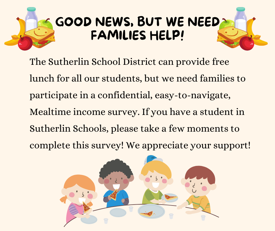 income survey